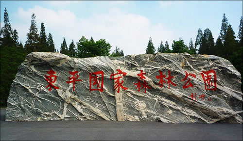 上海崇明岛东平国家森林公园拓展培训基地
